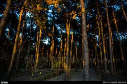 تهران در هوای پاییزی /تصاویر