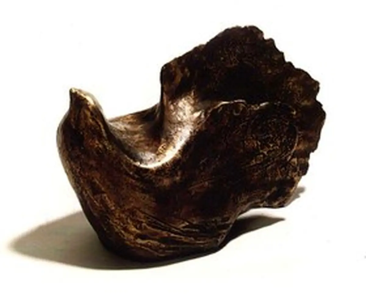 سالور: کارم را بعد از غبارروبی، دوباره شروع می‌کنم