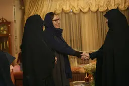 حضور مهناز افشار و ابتکار در منزل صادق طباطبائی/تصاویر