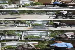 آیت‌الله جنتی بر مزار همسرش/عکس