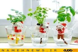 پاندا و خرگوش با قابلیت آبیاری قطره ای!+تصاویر