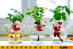 پاندا و خرگوش با قابلیت آبیاری قطره ای!+تصاویر