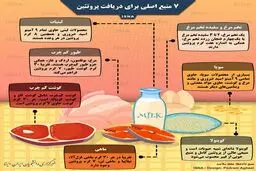 اصلی‌ترین منابع خوراکی پروتئین را بشناسید/ اینفوگرافی