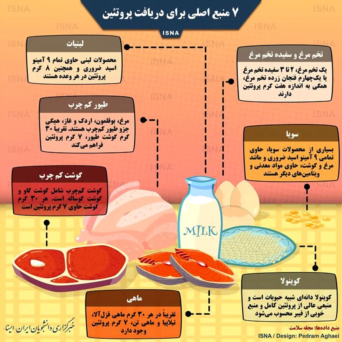 اصلی‌ترین منابع خوراکی پروتئین را بشناسید/ اینفوگرافی