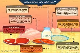 اصلی‌ترین منابع خوراکی پروتئین را بشناسید/ اینفوگرافی