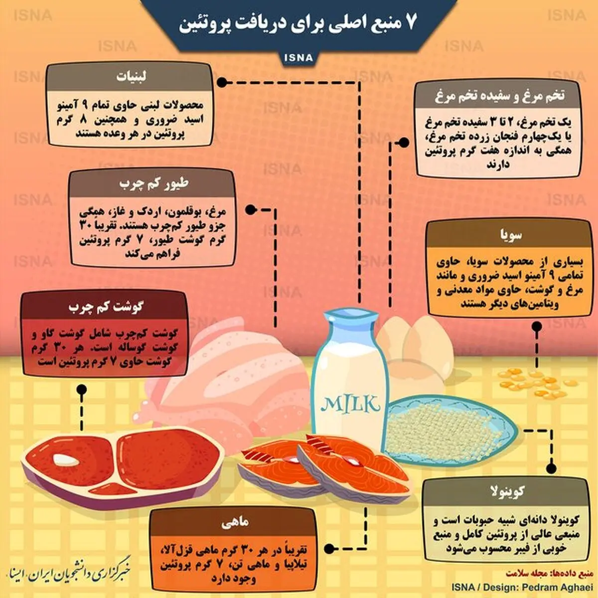 اصلی‌ترین منابع خوراکی پروتئین را بشناسید/ اینفوگرافی