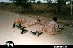 شاخ به شاخ دو پراید/تصاویر