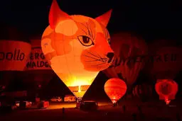 تصاویر/ پرواز بالن‌های عجیب در آلمان