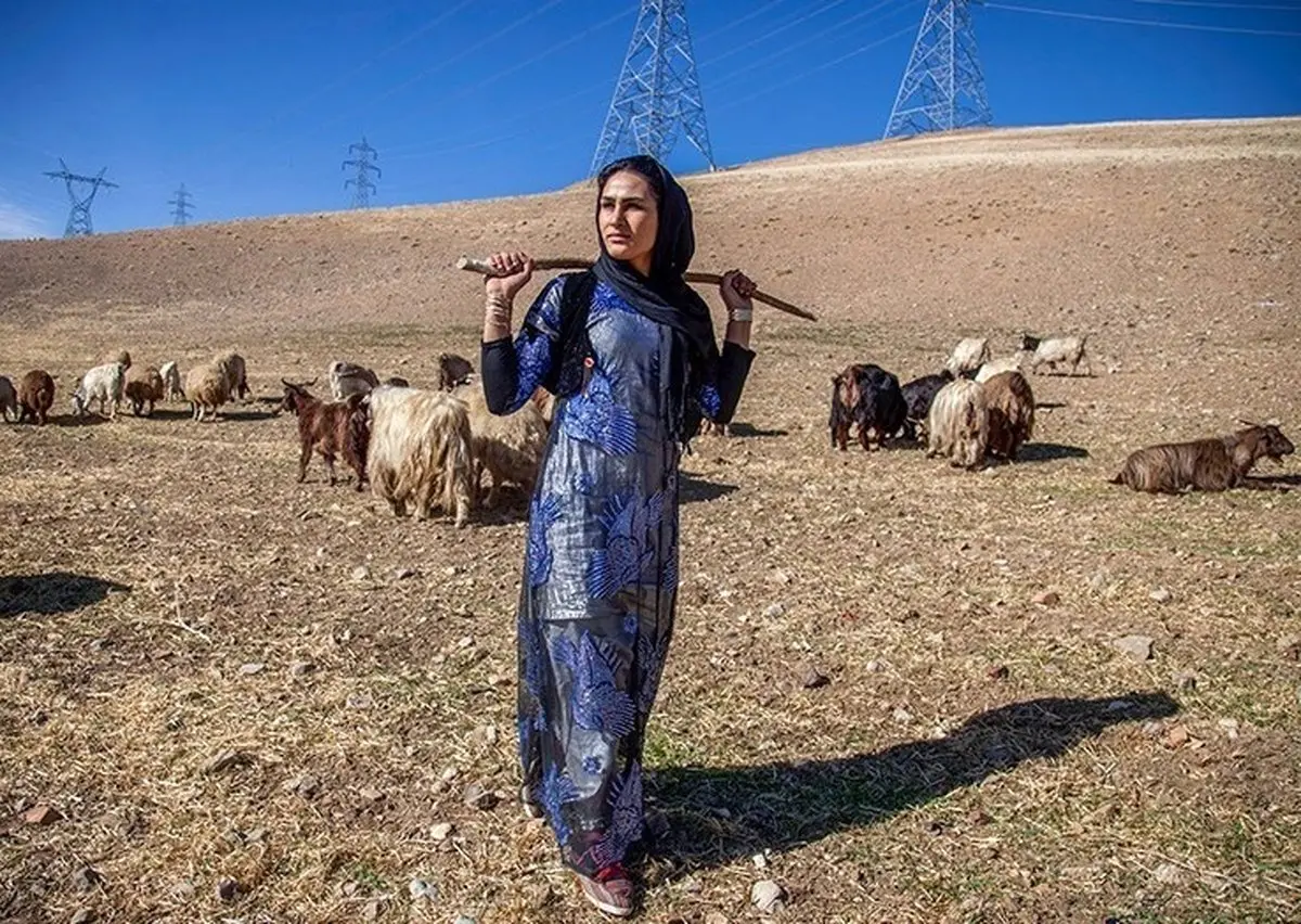 چند سکانس تصویری از «دختر کوچ نشین»، قهرمان کیک بوکسینگ ایران