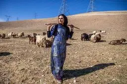 چند سکانس تصویری از «دختر کوچ نشین»، قهرمان کیک بوکسینگ ایران