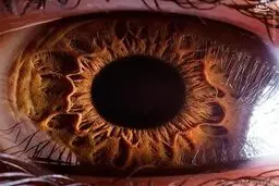 نزدیک‌ترین تصاویر خارق العاده از چشم انسان