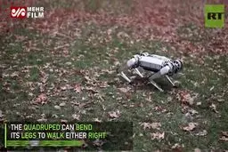 ببینید: تصاویر جالبی از یک ربات پشتک‌زن!