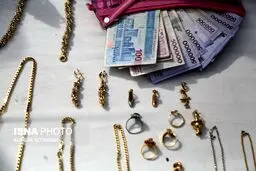بازداشت ۱۳۸ سارق در تهران/تصاویر