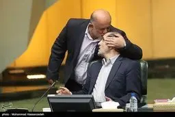 حواشی حضور ربیعی در صحن علنی مجلس/تصاویر