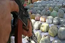 کشف انبار تروریسم در نواب؛ ۱۲۷ کیلو مواد انفجاری و مایعات خطرناک توقیف شد!