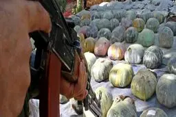 کشف انبار تروریسم در نواب؛ ۱۲۷ کیلو مواد انفجاری و مایعات خطرناک توقیف شد!
