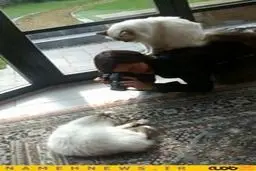 عکس‌های خنده‌دار از موقعیت‌های عجیب