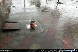 عکس/ این کارگر شهرداری چندتا لایک داره