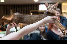 تصاویر منتخب رسانه های جهان در هفته گذشته