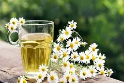 خواص بابونه چیست؟