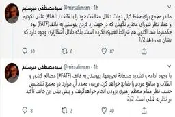 خط‌ونشان توئیتری میرسلیم درباره FATF/ دلایلمان را برای حفظ کیان دولت علنی نکردیم + توئیت