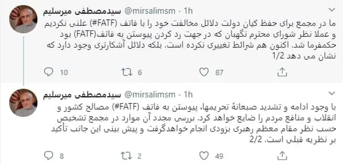 خط‌ونشان توئیتری میرسلیم درباره FATF/ دلایلمان را برای حفظ کیان دولت علنی نکردیم + توئیت