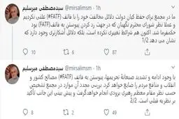 خط‌ونشان توئیتری میرسلیم درباره FATF/ دلایلمان را برای حفظ کیان دولت علنی نکردیم + توئیت