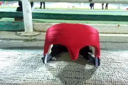 گارد گابریل رسید+تصاویر