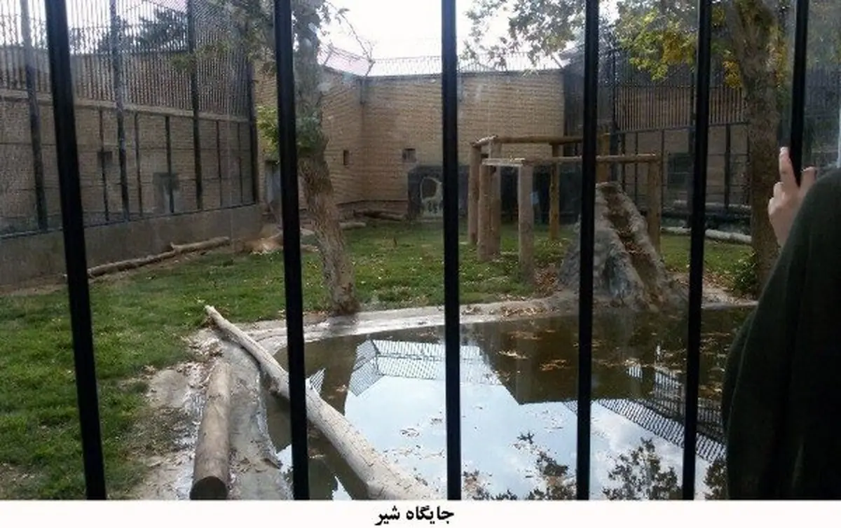 تغییرات جدید باغ وحش ارم+تصاویر