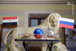 پیشگویی جدید گربه جنجالی جام جهانی/عکس