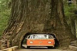 متفاوت ترین تونل دنیا/عکس