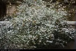 آرامش پاییزی در دمای منفی یک درجه