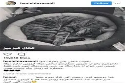 واکنش عجیب هانیه توسلی به مرگ گربه‌ش/عکس