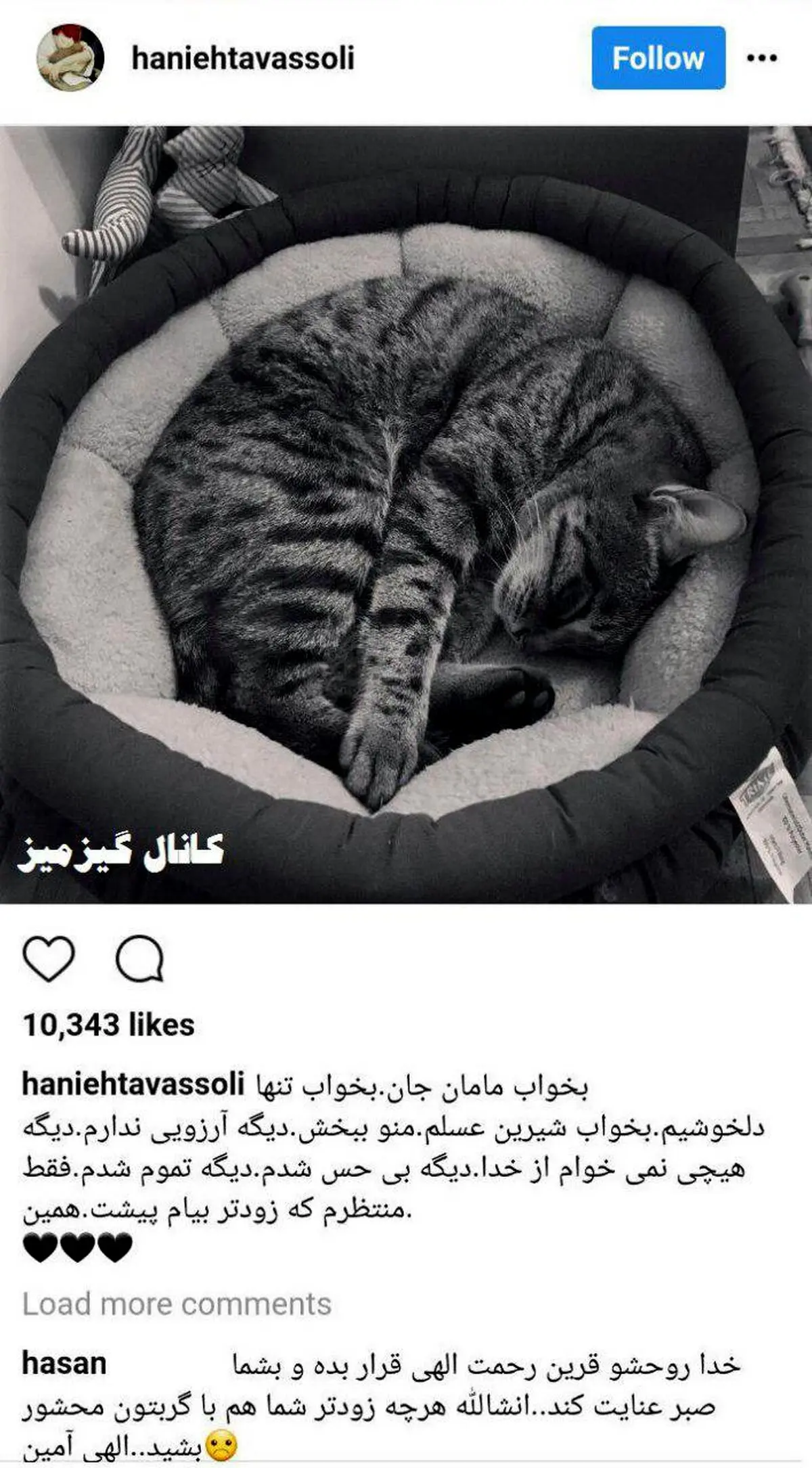 واکنش عجیب هانیه توسلی به مرگ گربه‌ش/عکس