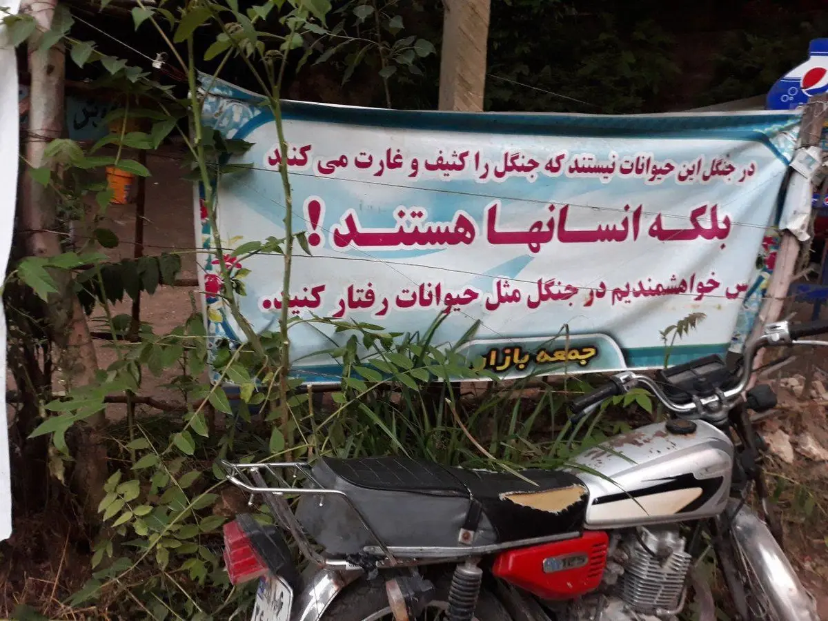 عکس: لطفا مانند حیوانات رفتار کنید