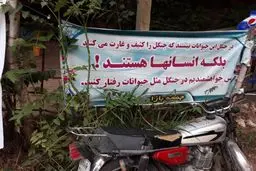 عکس: لطفا مانند حیوانات رفتار کنید