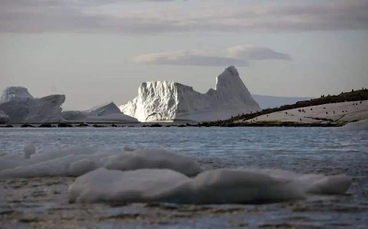 با این تصاویر مسافر قطب جنوب شوید