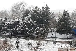 امروزصبح،هوای برفی تبریز/عکس