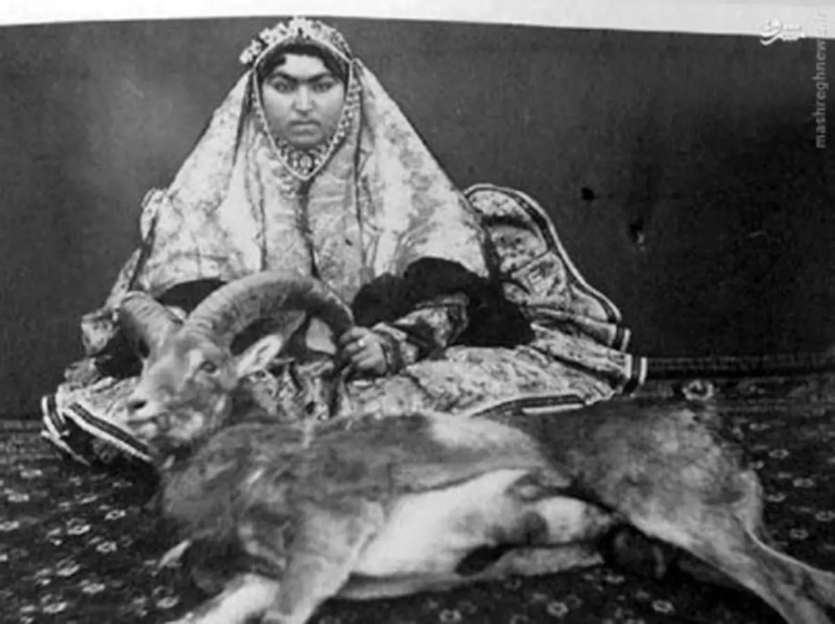زنان قاجاری پا به پای مردان در شکار/عکس
