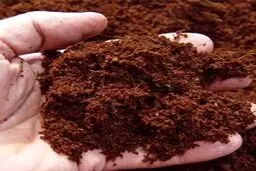 انتقال خاک به خارج از کشور ممنوع است