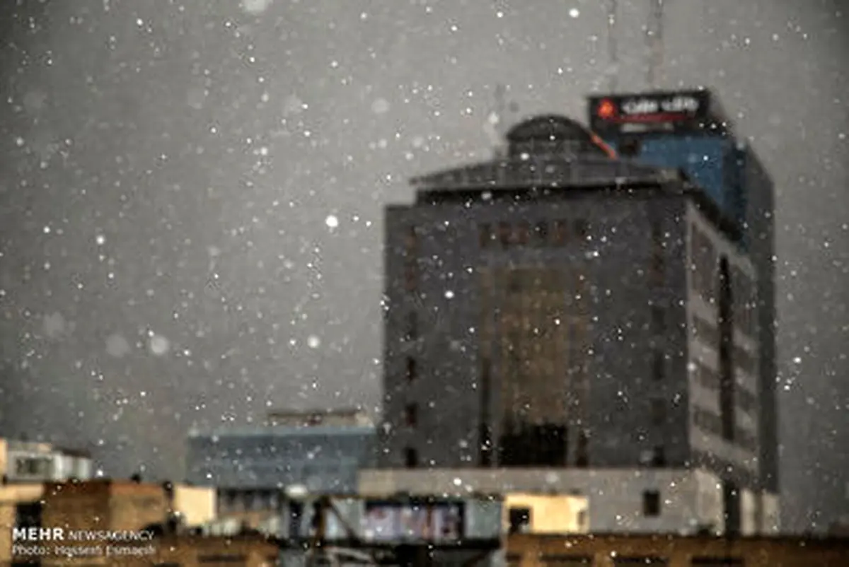 تصاویری از بارش برف در تهران