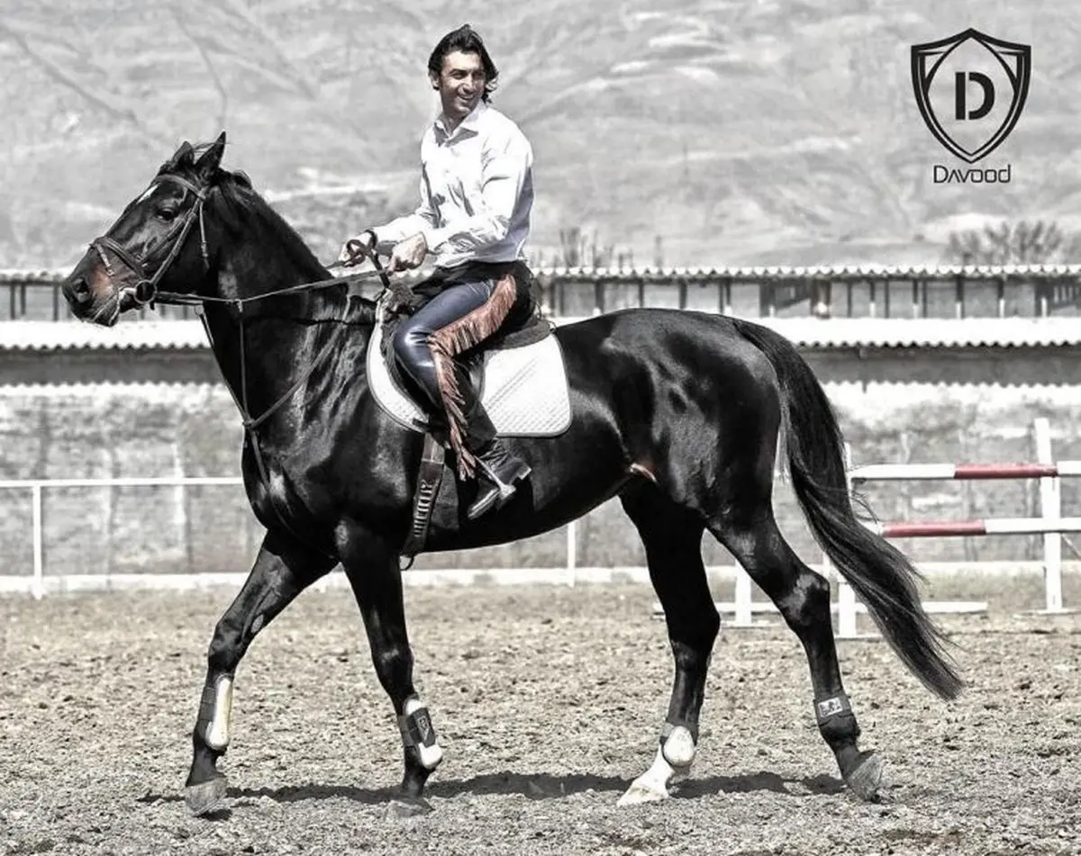 سید مهدی رحمتی سوار بر اسب زیبایش/ عکس