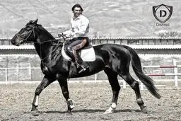 سید مهدی رحمتی سوار بر اسب زیبایش/ عکس