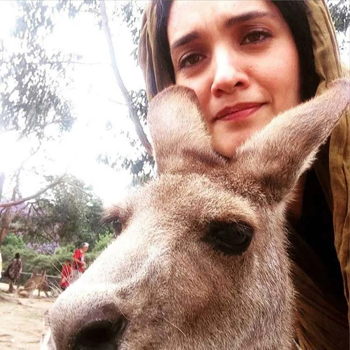 سلفی جالب میترا حجار با کانگورو/ عکس