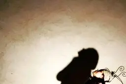 سایه‌ بازی سانیا سالاری + عکس