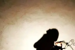 سایه‌ بازی سانیا سالاری + عکس