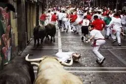 وحشی بازی در شهر/تصاویر+13