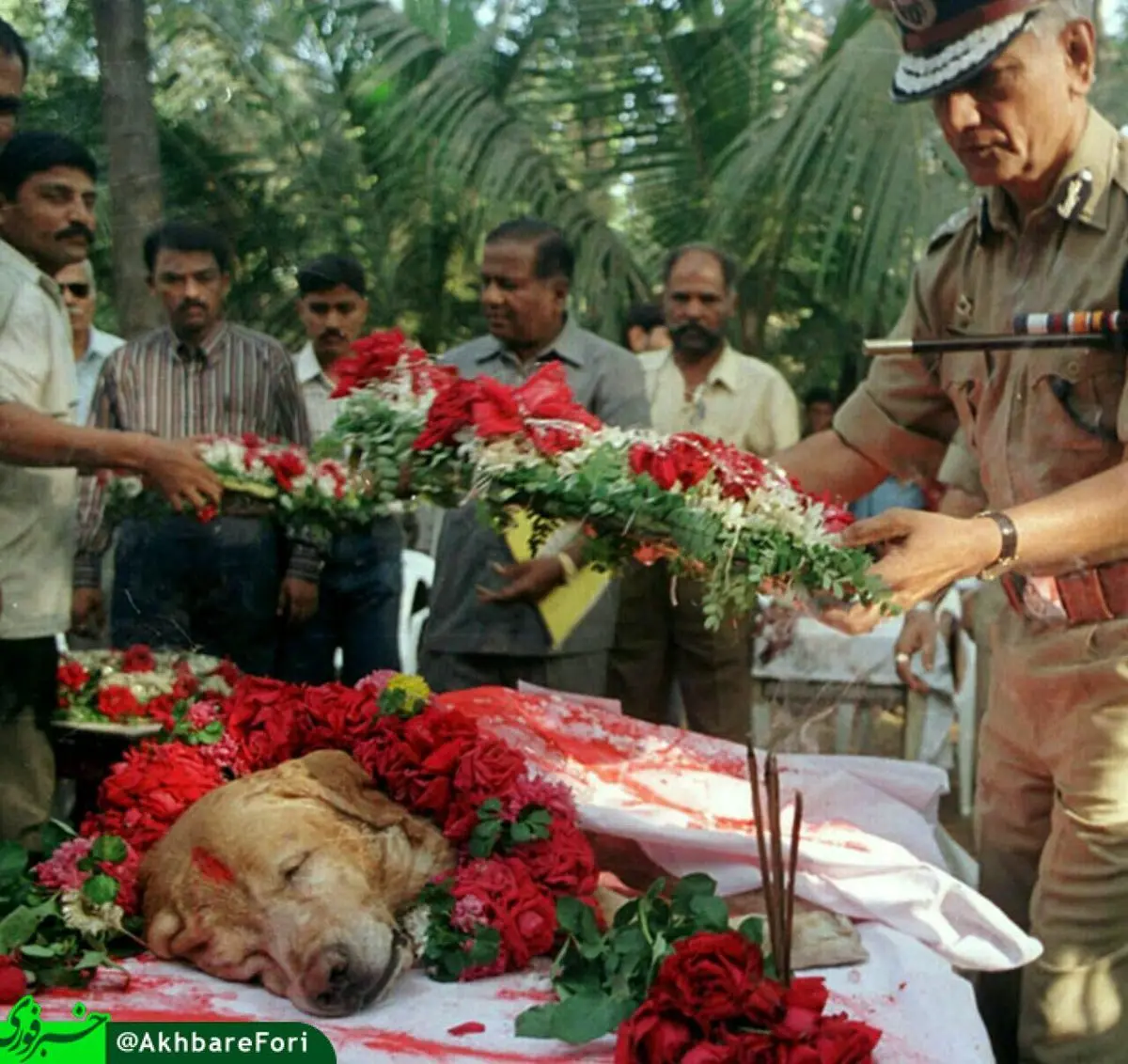 مراسم ویژه برای سگ پلیس در هند/عکس