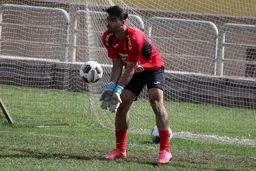 مهدی طارمی دروازه‌بان شد+عکس