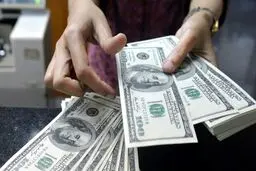 قیمت دلار، یورو و درهم در بازارهای مختلف +جدول